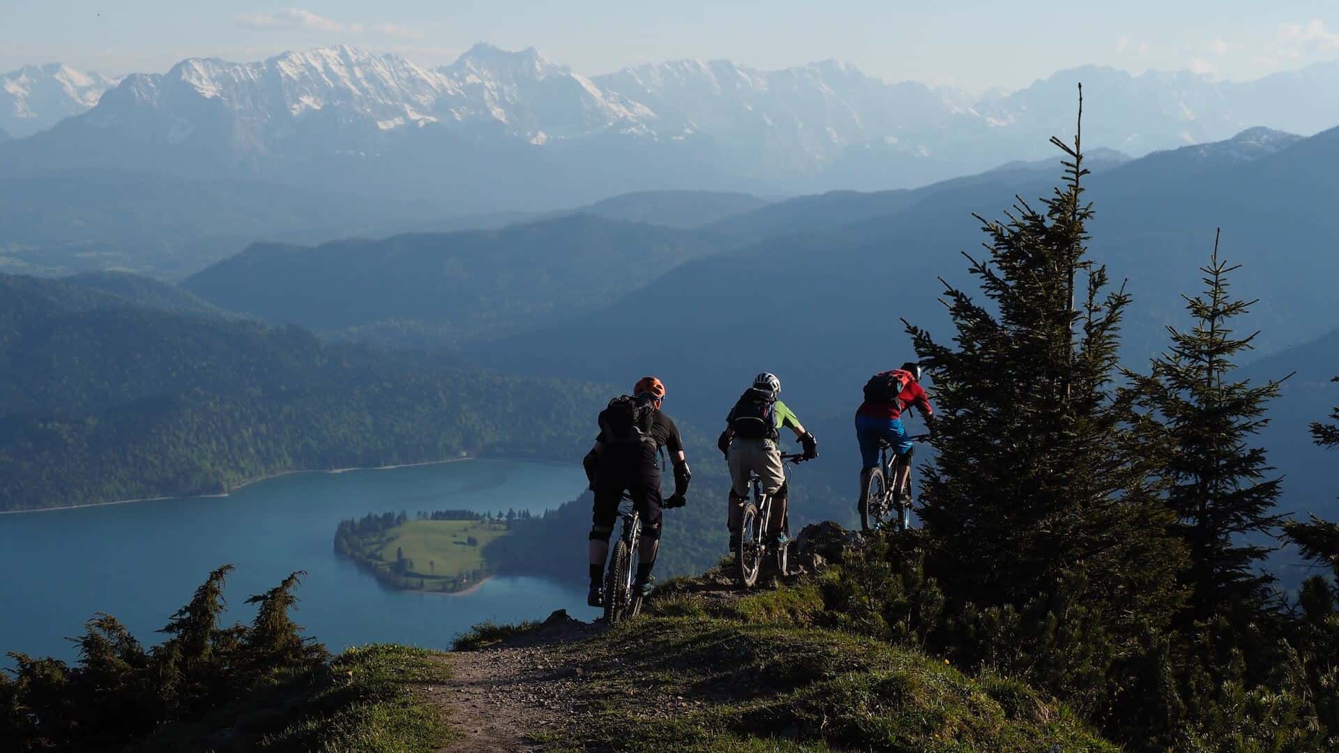 mountain bike store