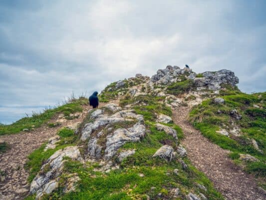 Skalnatý horský terén s turistickými stezkami u horské chaty Erjavčeva ve Slovinsku za oblačného počasí.