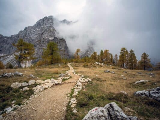 Skála se značkou stezky před lesem a horskou scenérií, turistická stezka poblíž horské chaty Erjavčeva, Slovinsko.