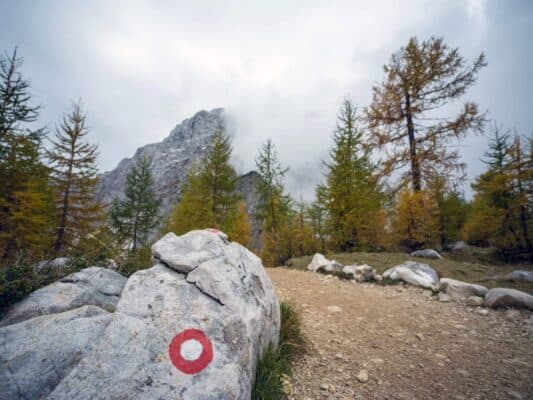 Skála se značkou stezky před lesem a horskou scenérií, turistická stezka poblíž horské chaty Erjavčeva, Slovinsko.