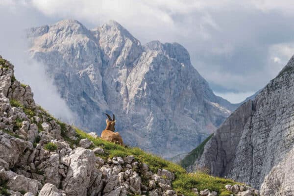 Mezi horami Kalendář 2026