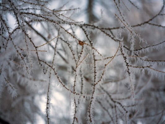 Proč navštívit Vršičský průsmyk ve Slovinsku nedaleko Kranjské Gory v zimě?
